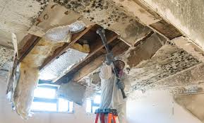 Mold Remediation for Rental Properties in Daleville, VA